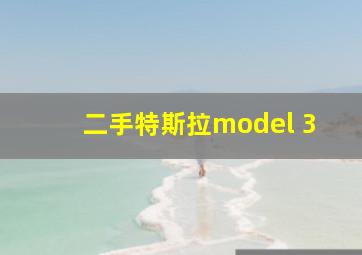 二手特斯拉model 3